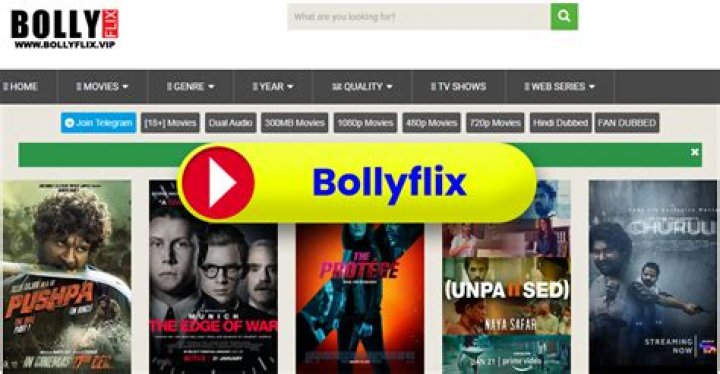 BollyFlix Movie Download: Your Ultimate Guide to Bollywood Movies