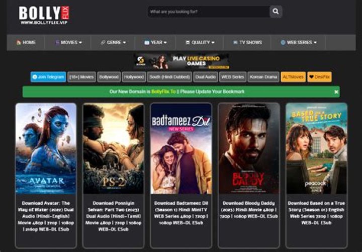 BollyFlix Site: The Ultimate Destination for Bollywood Enthusiasts