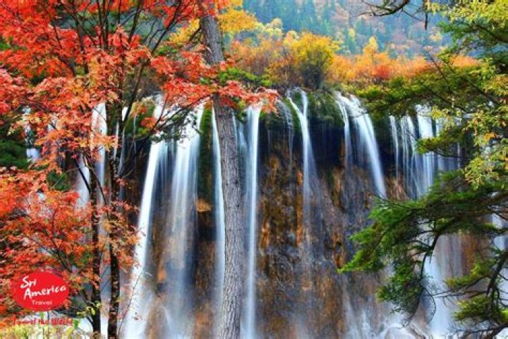 Discovering the Beauty of I Ory Hills Japan