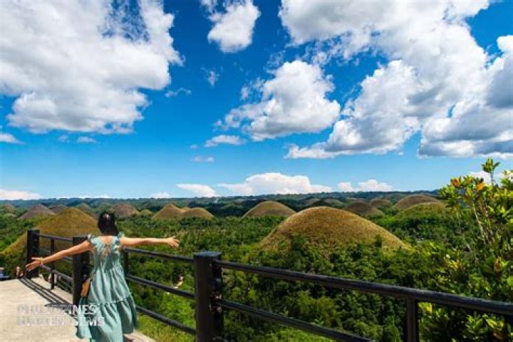 Ivory Hills Japan: Your Ultimate Guide to This Hidden Gem and How to Get There