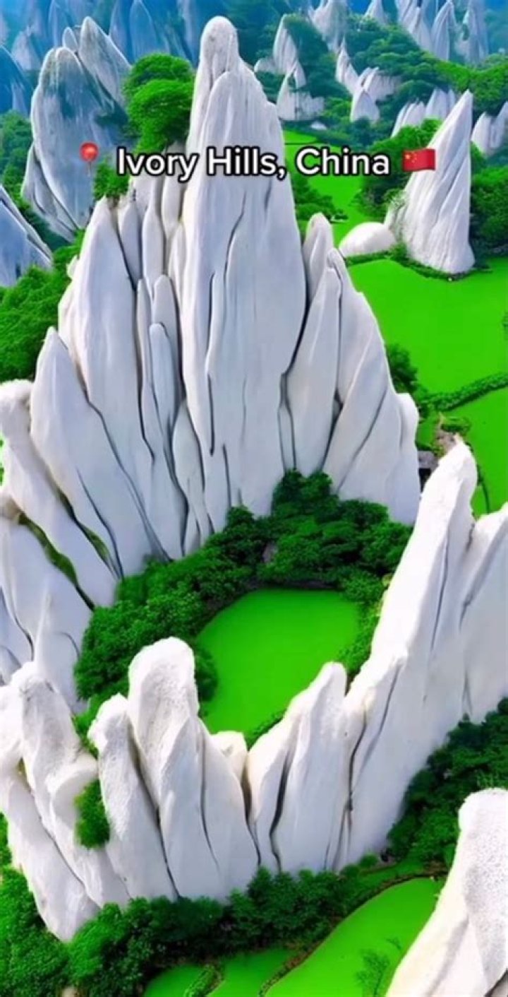 Ivory Hills: When Did the Legend Truly Begin?